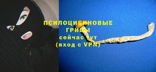 МДПВ Алексин